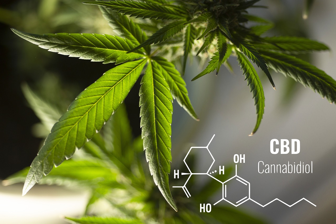 Cannabis Sativa och CBD (Cannabidiol) i hudvård